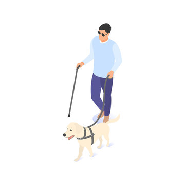 Blind man on a walk with a cane and a guide dog.