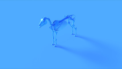 Obraz na płótnie Canvas Blue Horse Skeletal System Anatomical 3d illustration 3d render 