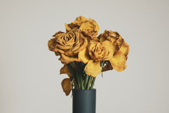 Yellow Roses in a Vase