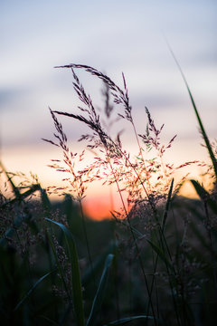 Colorful Sunset on a Field