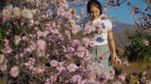 Walking through the spring forest, Pink Sakura flower, Cherry blossom Young girl sniffs and Enjoys Almond blossomin Teide National Park Spring blossom Sakura Flowers, Breathe Aroma. Tenerife, Shot URS
