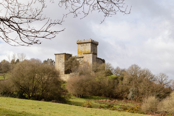 East side of the castle of Pambre in Galicia Spain surrounded by trees and meadow grass