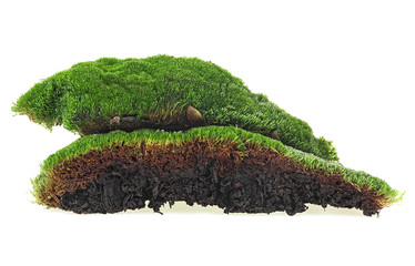 Green mossy hill isolated on white background