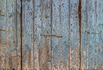 Fototapeta na wymiar old worn wooden surface with vertical panels, rough texture with scratches and light blue color in the background - aged door wallpaper