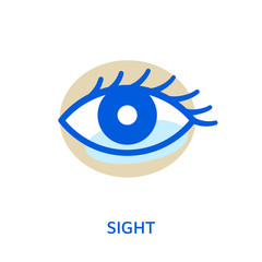 Eye. Organ of sense. Sight, vision icon. Vector illustration or symbol isolated on white.