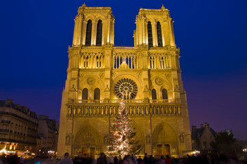 Fototapeta na wymiar Notre Dame church at Paris, France