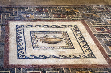 Roman Villa in Mdina, Malta