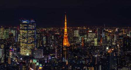 Fototapeta na wymiar Tokyo Tower III