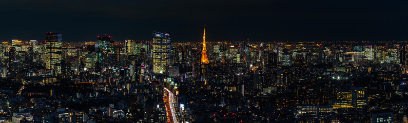 Fototapeta na wymiar Tokyo XVIII