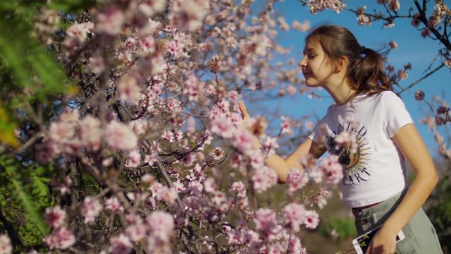 Walking through the spring forest, Pink Sakura flower, Cherry blossom Young girl sniffs and Enjoys Almond blossomin Teide National Park Spring blossom Sakura Flowers, Breathe Aroma. Tenerife, Shot URS