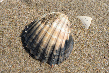 Día soleado en la playa