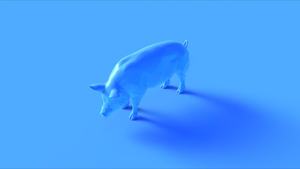 Blue Pig Front View 3d illustration 3d render	