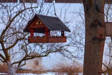 A wooden house bird feeder hanging on a tree branch