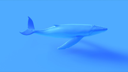 Obraz premium Blue Humpback Whale 3d illustration 3d render 