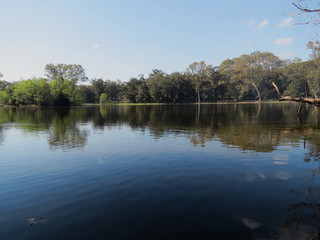 reflection of trees in water
