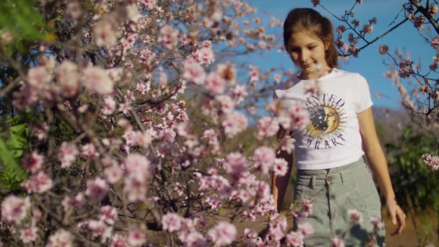 Walking through the spring forest, Pink Sakura flower, Cherry blossom Young girl sniffs and Enjoys Almond blossomin Teide National Park Spring blossom Sakura Flowers, Breathe Aroma. Tenerife, Shot URS