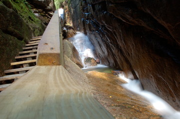 waterfall in forest