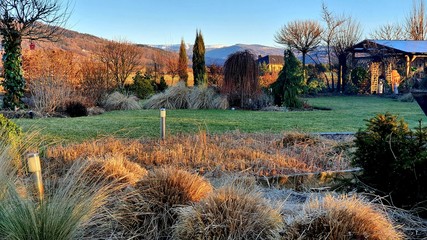 landscape with trees