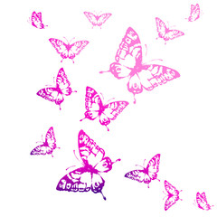 Obraz na płótnie Canvas butterfly441