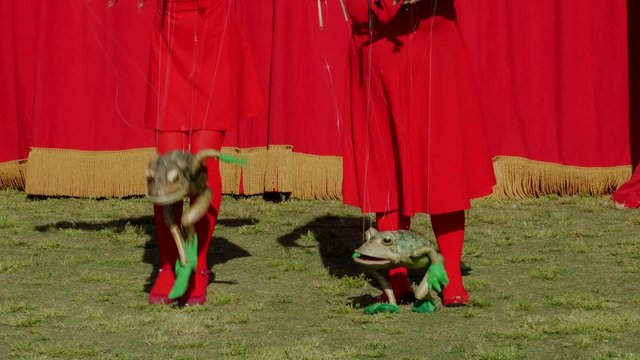 This video shows cute frog toad puppets dancing together at an outdoor retro marionette theater show.