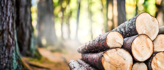 Tuinposter Log stammen stapel, de houtkap hout bos hout industrie. Brede spandoek of panorama houten kisten © Milan