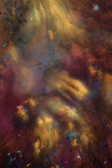 Abstract micrograph of parts of a lily flower.