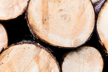 Log trunks pile, the logging timber forest wood industry. Wooden trunks