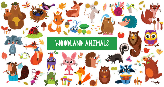 Big collection of cute cartoon forest animals. Set of woodland animals characters isolated on white background.