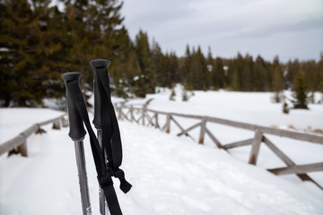 Trekking poles with snowy mountain trail in the background during winter.