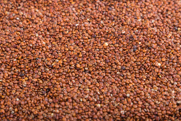 Texture of raw red quinoa . Side view, close up.