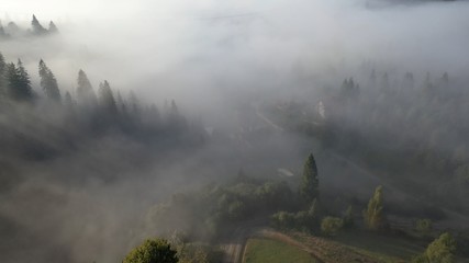 Fototapeta premium Aerial view of colorful mixed forest shrouded in morning fog on a beautiful autumn day