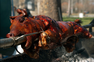 Pig on grill