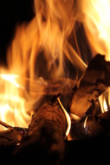 Fototapeta premium fire