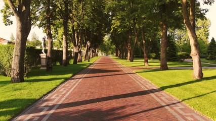 Red cobblestone pathway alley with no people around. Trees shadows during daylight.