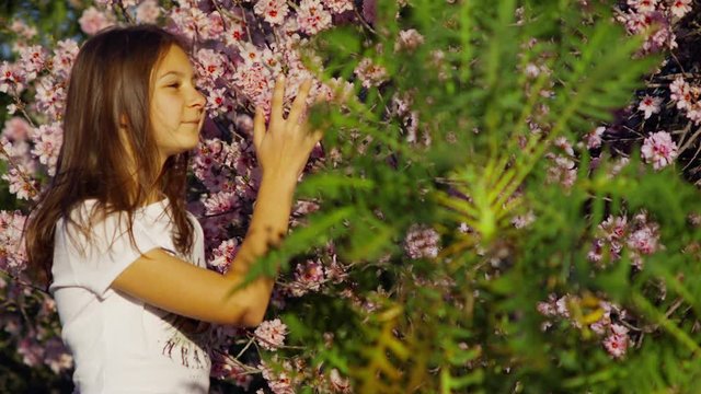 White young Woman walks in the park with a spring background Sonchus Canariensis Boulos in the foreground with Red Blooming Buds shot URSA 4.6K