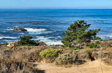 Fototapeta na wymiar Big Sur, California USA. Coastline