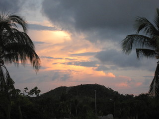 Evening in tropics