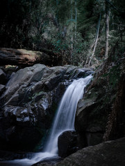 Waterfall in forest summer day