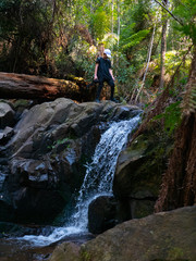 Waterfall in forest summer day