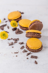 sweet chocolate macaron French - image
