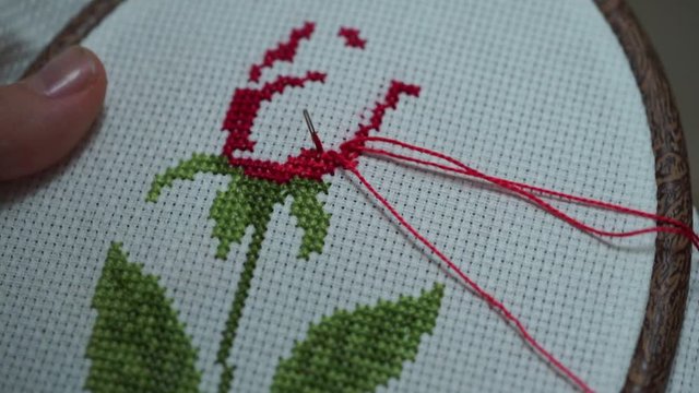 canavice processing with etemin technique. close-up woman handling canavice model on her hands. making floral patterns on etamin fabric in embroidery workshop.