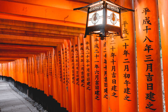 Lamp and torii gates path at Fushimi Inari taisha shrine, Kyoto