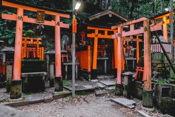 Fototapeta na wymiar Torii gates and rocks with kanjis at sanctuary in Fushimi Inari taisha shrine, Kyoto