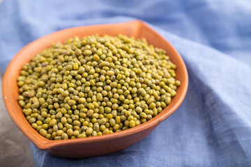 Clay bowl with raw mung bean and wooden spoon on a gray concrete background. Top view, selective focus.
