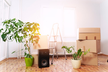 Moving in concept, empty bright new room with plant, leaders , boxes and speaker  