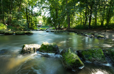 Obraz premium River in the green