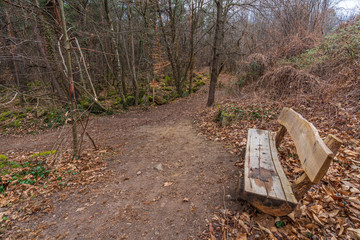 Ice holes in Eppan an der Weinstrasse in South Tyrol in Italy.