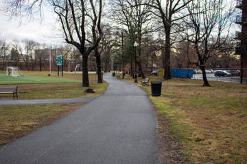 Pathway in a Park