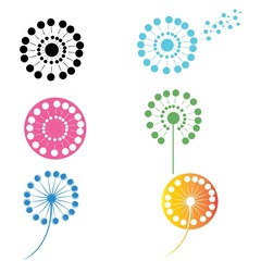 dandelion flower illustration logo vector design