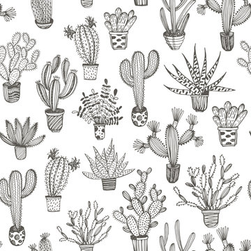 Seamless pattern with hand drawn cactus in a pot. Hand drawn ornament for wrapping paper. Outlines elements. Ink illustration. Collection of cacti.